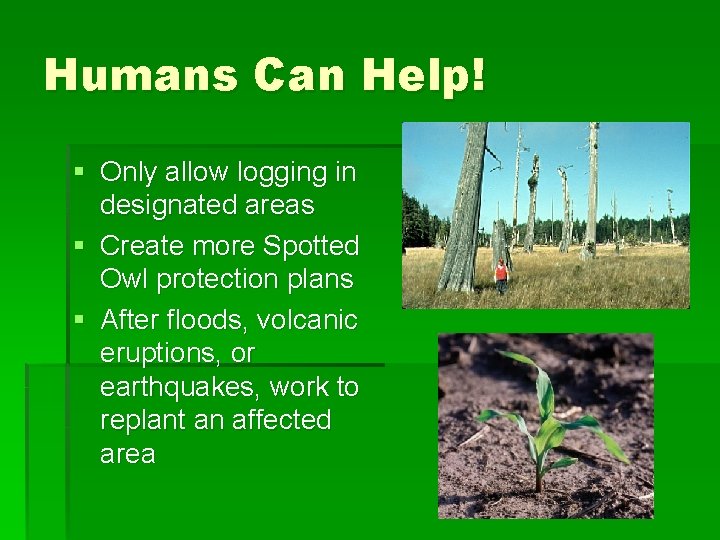 Humans Can Help! § Only allow logging in designated areas § Create more Spotted
