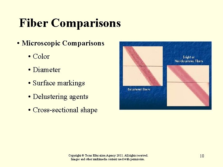 Fiber Comparisons • Microscopic Comparisons • Color • Diameter • Surface markings • Delustering