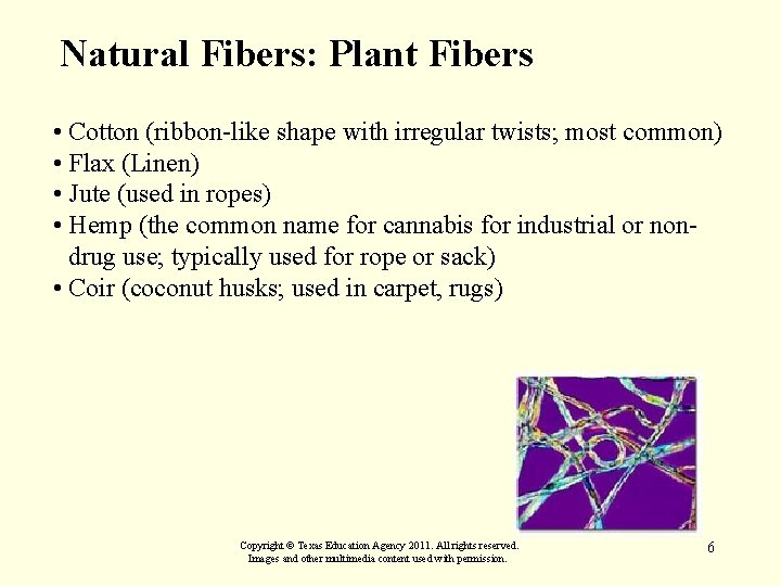 Natural Fibers: Plant Fibers • Cotton (ribbon-like shape with irregular twists; most common) •