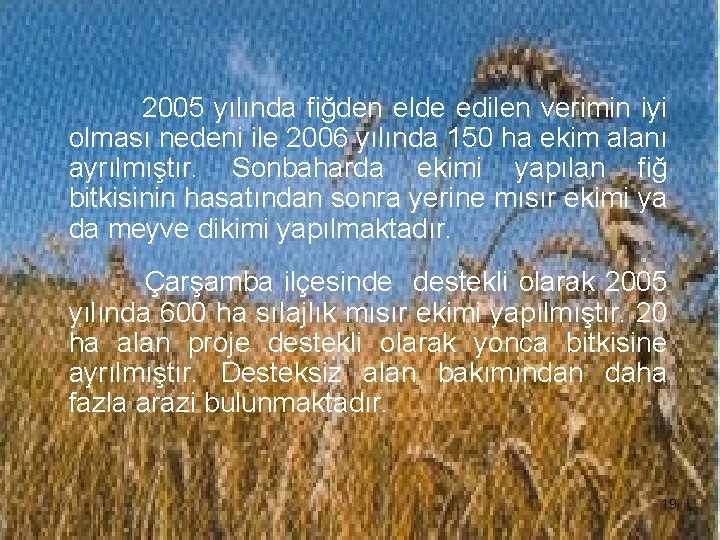 2005 yılında fiğden elde edilen verimin iyi olması nedeni ile 2006 yılında 150 ha