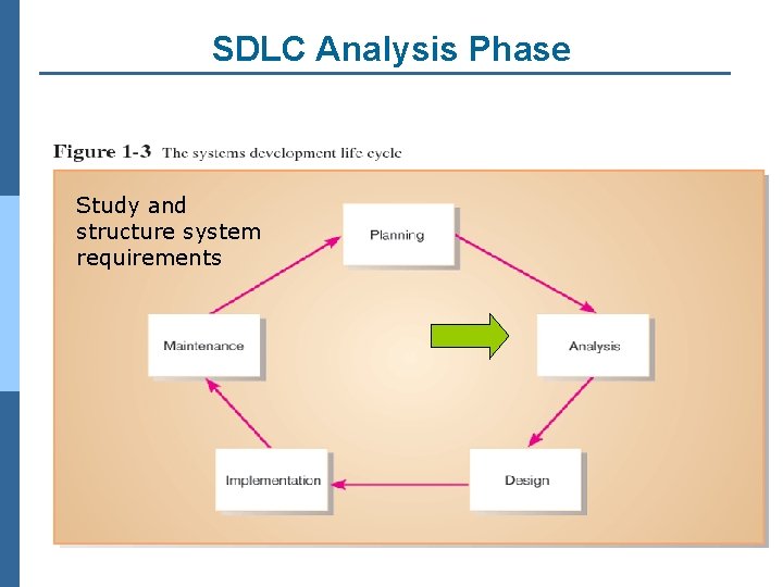 SDLC Analysis Phase Study and structure system requirements 