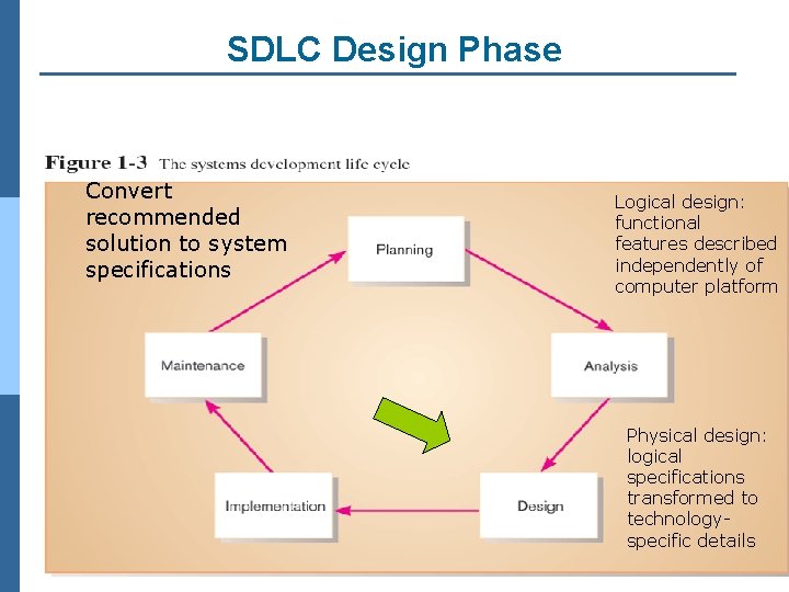 SDLC Design Phase Convert recommended solution to system specifications Logical design: functional features described