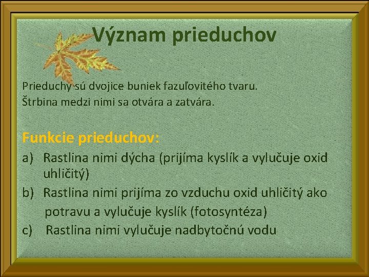 Význam prieduchov Prieduchy sú dvojice buniek fazuľovitého tvaru. Štrbina medzi nimi sa otvára a