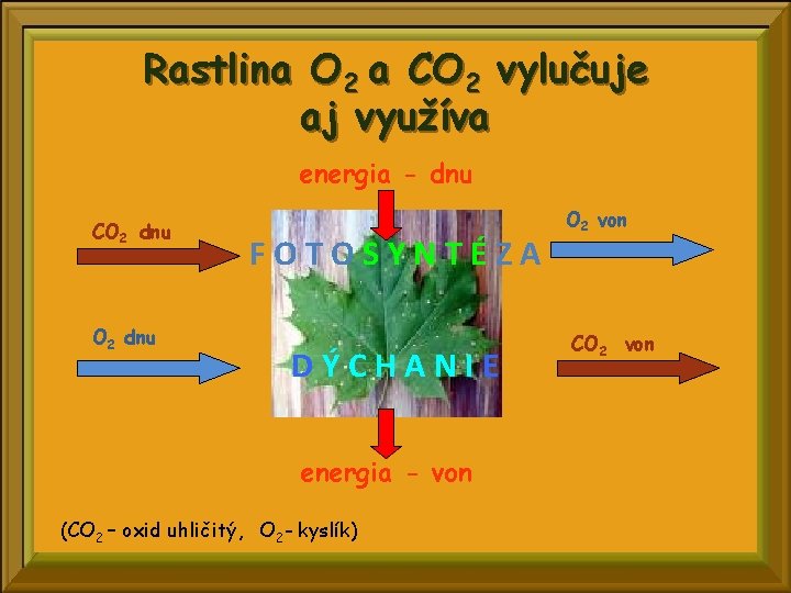 Rastlina O 2 a CO 2 vylučuje aj využíva energia - dnu CO 2