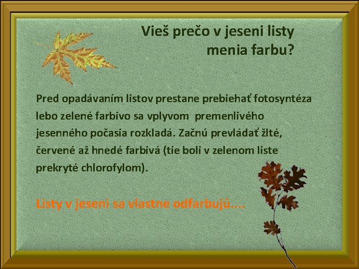 Vieš prečo v jeseni listy menia farbu? Pred opadávaním listov prestane prebiehať fotosyntéza lebo