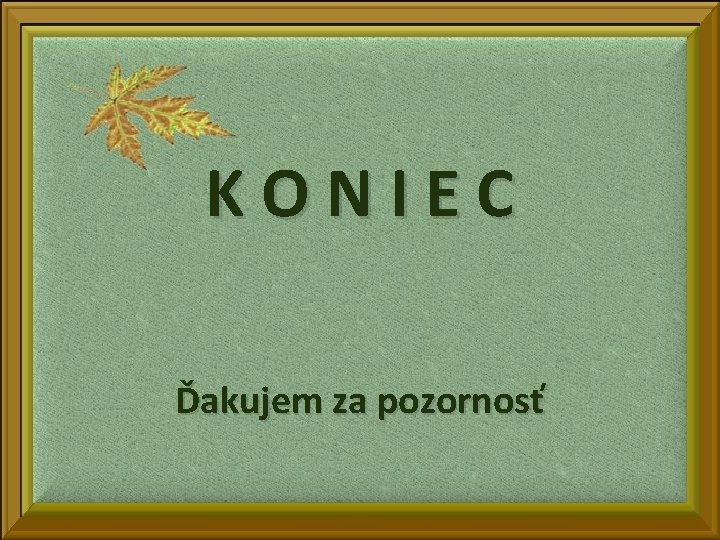 KONIEC Ďakujem za pozornosť 