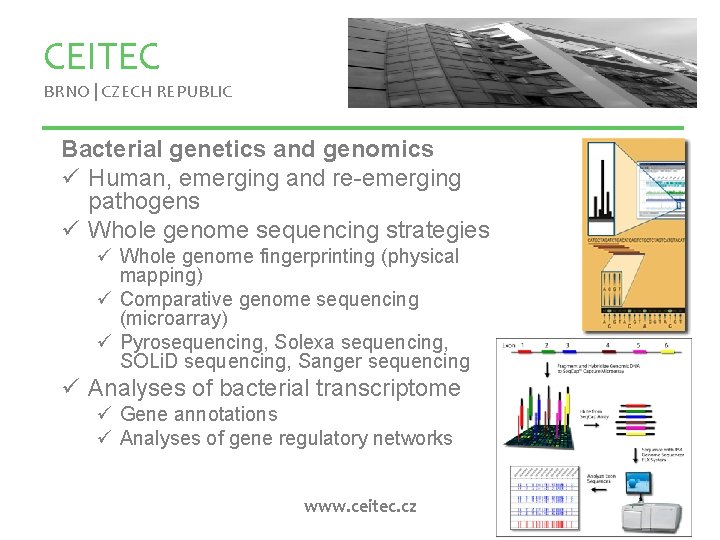 CEITEC BRNO | CZECH REPUBLIC Bacterial genetics and genomics ü Human, emerging and re-emerging