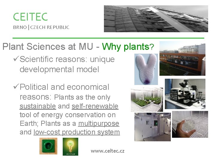 CEITEC BRNO | CZECH REPUBLIC Plant Sciences at MU - Why plants? üScientific reasons: