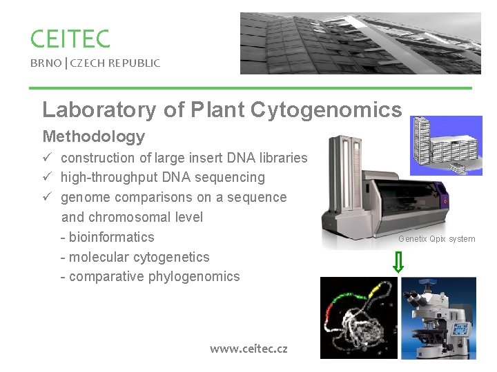 CEITEC BRNO | CZECH REPUBLIC Laboratory of Plant Cytogenomics Methodology ü construction of large