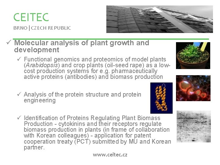 CEITEC BRNO | CZECH REPUBLIC ü Molecular analysis of plant growth and development ü