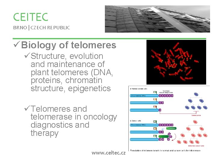 CEITEC BRNO | CZECH REPUBLIC ü Biology of telomeres üStructure, evolution and maintenance of