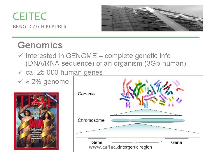 CEITEC BRNO | CZECH REPUBLIC Genomics ü interested in GENOME – complete genetic info