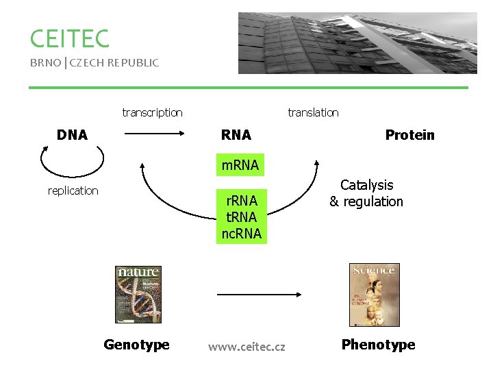 CEITEC BRNO | CZECH REPUBLIC translation transcription RNA DNA Protein m. RNA replication r.