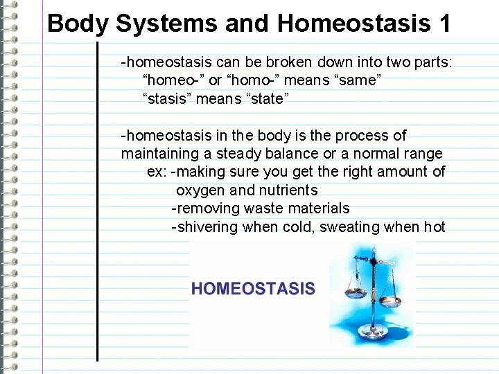 Body Systems and Homeostasis 1 -homeostasis can be broken down into two parts: “homeo-”