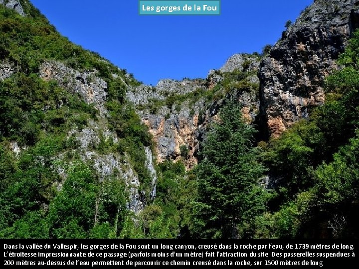 Les gorges de la Fou Dans la vallée du Vallespir, les gorges de la