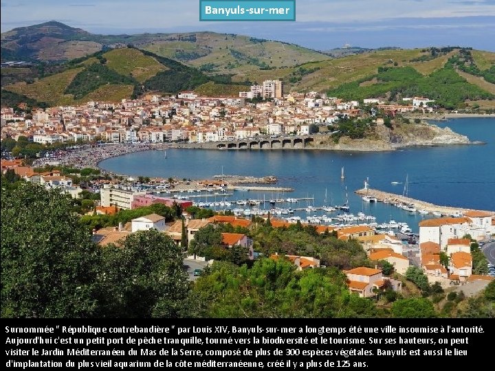 Banyuls-sur-mer Surnommée " République contrebandière " par Louis XIV, Banyuls-sur-mer a longtemps été une