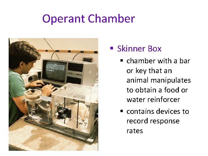 Operant Chamber § Skinner Box § chamber with a bar or key that an