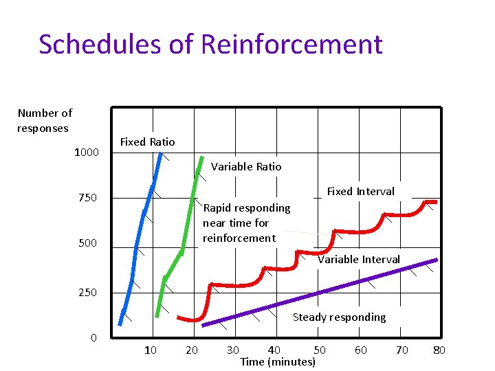 Schedules of Reinforcement Number of responses 1000 Fixed Ratio Variable Ratio Fixed Interval 750