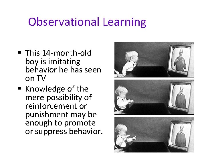 Observational Learning § This 14 -month-old boy is imitating behavior he has seen on