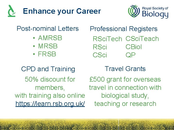 Enhance your Career Post-nominal Letters • AMRSB • FRSB Professional Registers RSci. Tech CSci.
