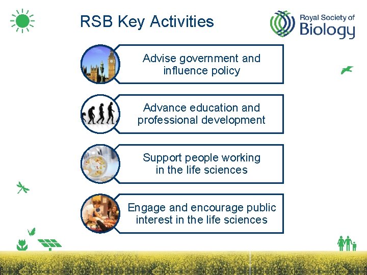 RSB Key Activities Advise government and influence policy Advance education and professional development Support
