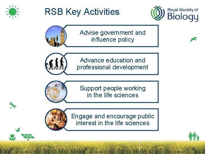RSB Key Activities Advise government and influence policy Advance education and professional development Support