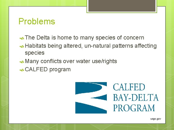 Problems The Delta is home to many species of concern Habitats being altered, un-natural