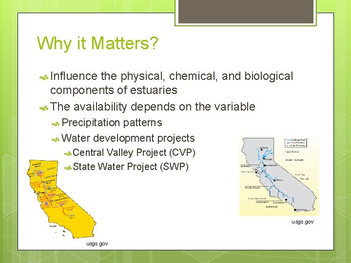 Why it Matters? Influence the physical, chemical, and biological components of estuaries The availability