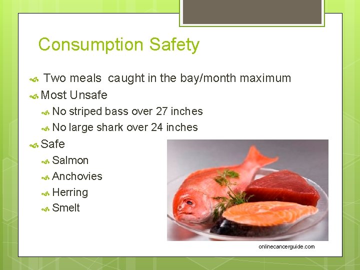 Consumption Safety Two meals caught in the bay/month maximum Most Unsafe No striped bass