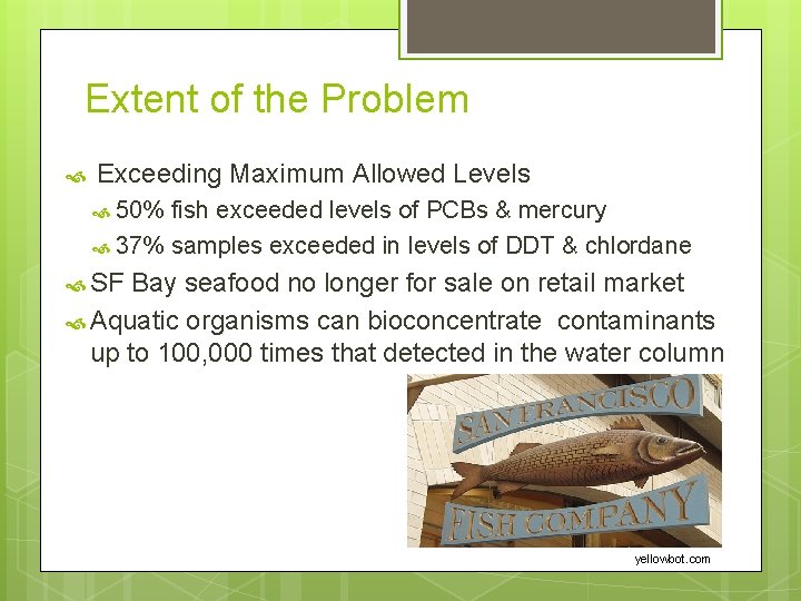 Extent of the Problem Exceeding Maximum Allowed Levels 50% fish exceeded levels of PCBs