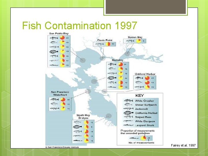 Fish Contamination 1997 Fairey et al. 1997 
