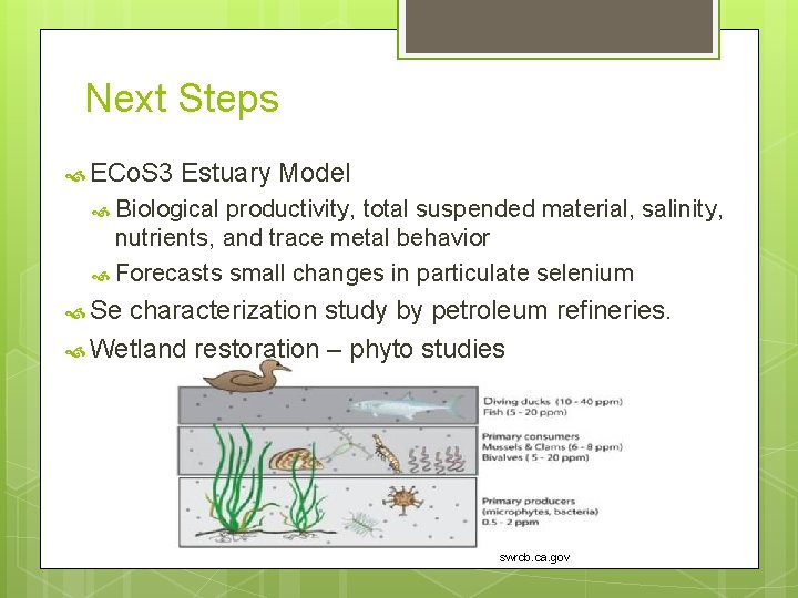 Next Steps ECo. S 3 Estuary Model Biological productivity, total suspended material, salinity, nutrients,