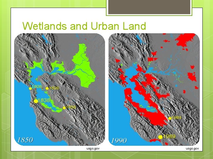 Wetlands and Urban Land usgs. gov 