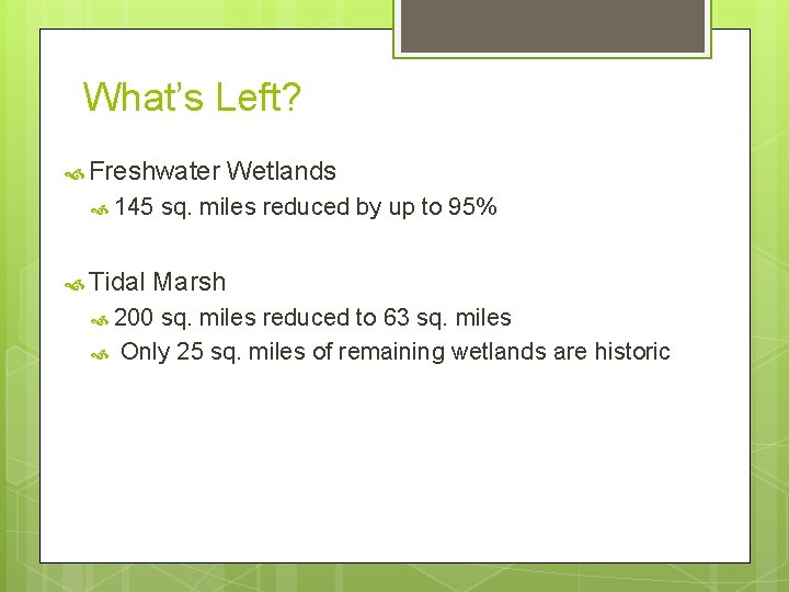 What’s Left? Freshwater 145 Tidal sq. miles reduced by up to 95% Marsh 200