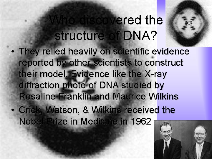 Who discovered the structure of DNA? • They relied heavily on scientific evidence reported