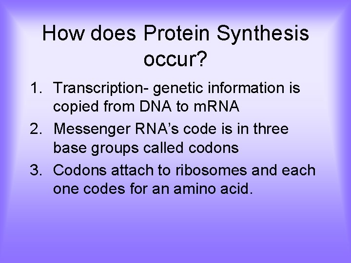 How does Protein Synthesis occur? 1. Transcription- genetic information is copied from DNA to
