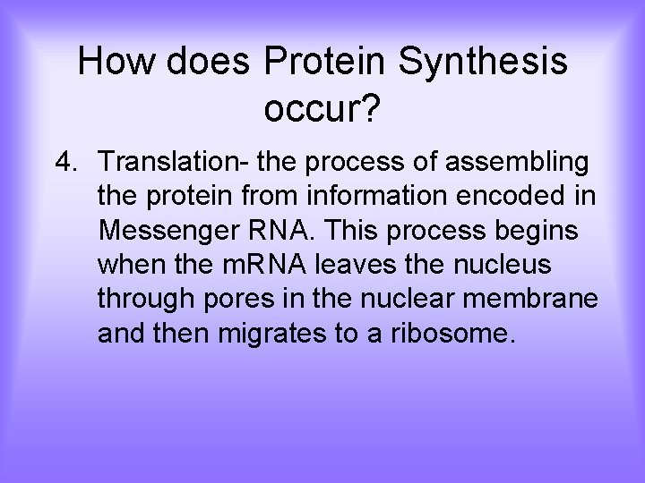 How does Protein Synthesis occur? 4. Translation- the process of assembling the protein from