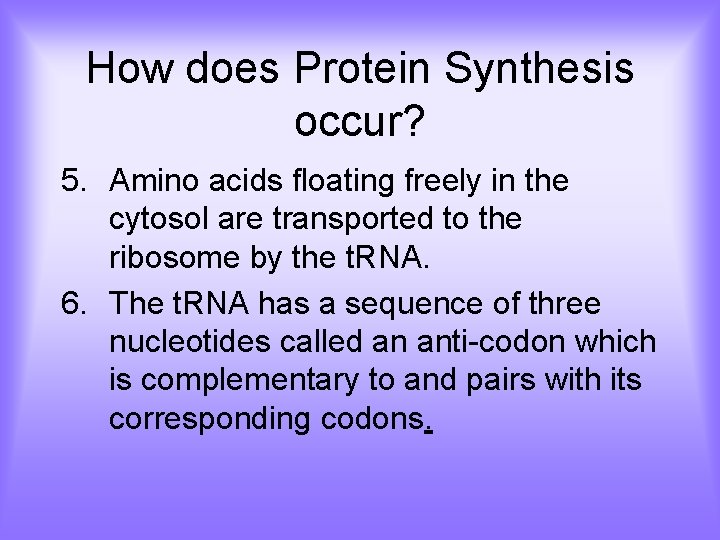 How does Protein Synthesis occur? 5. Amino acids floating freely in the cytosol are