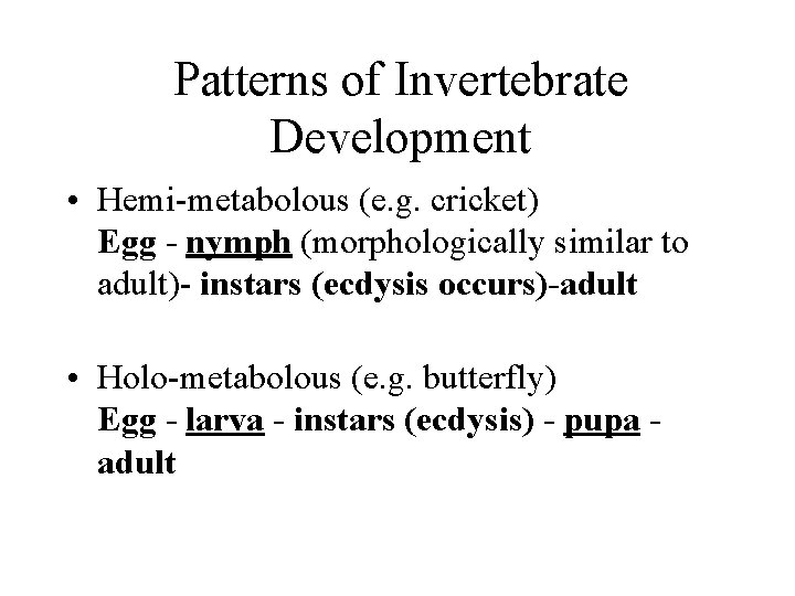 Patterns of Invertebrate Development • Hemi-metabolous (e. g. cricket) Egg - nymph (morphologically similar