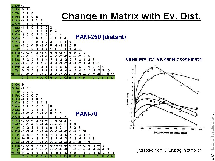 Change in Matrix with Ev. Dist. PAM-250 (distant) Chemistry (far) Vs. genetic code (near)