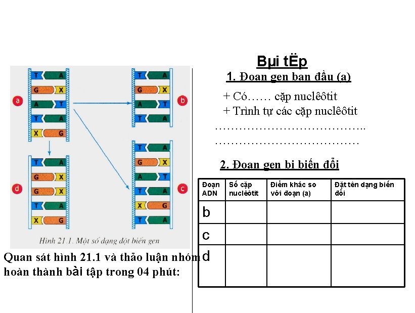 Bµi tËp 1. Đoạn gen ban đầu (a) + Có…… cặp nuclêôtit + Trình