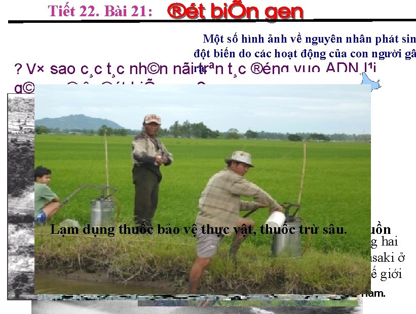 Tiết 22. Bài 21: ? V× sao c¸c t¸c nh©n Một số hình ảnh