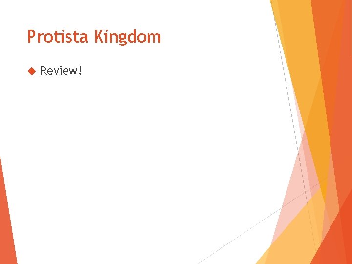 Protista Kingdom Review! 
