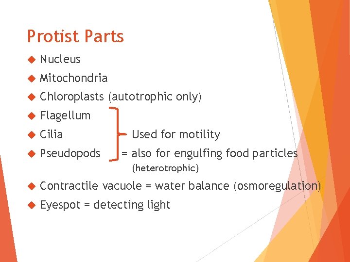 Protist Parts Nucleus Mitochondria Chloroplasts (autotrophic only) Flagellum Cilia Pseudopods Used for motility =
