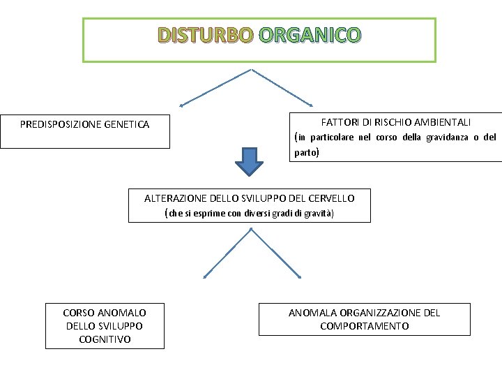 DISTURBO ORGANICO PREDISPOSIZIONE GENETICA (in FATTORI DI RISCHIO AMBIENTALI particolare nel corso della gravidanza