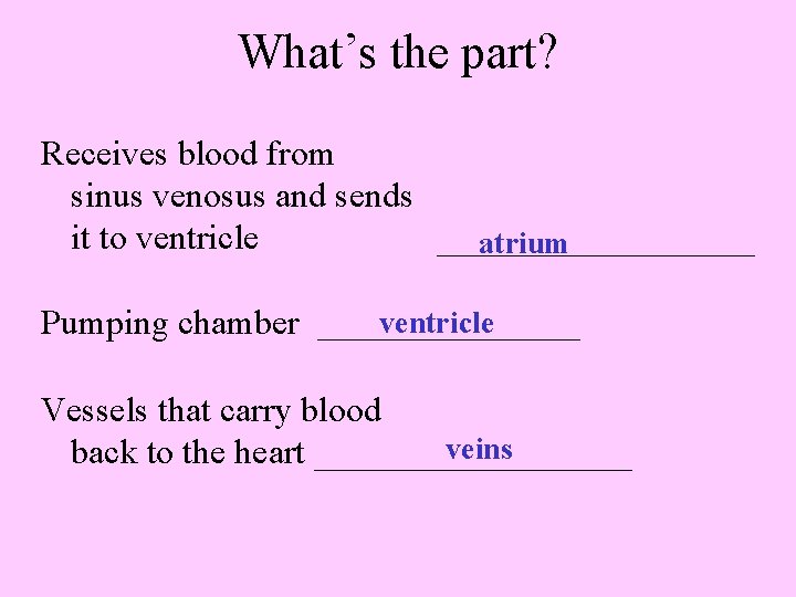 What’s the part? Receives blood from sinus venosus and sends it to ventricle _________
