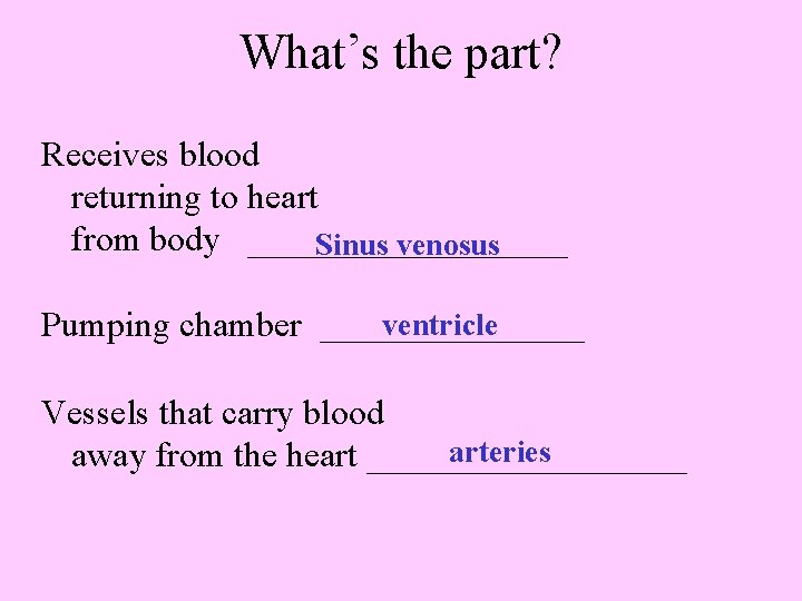 What’s the part? Receives blood returning to heart from body _________ Sinus venosus ventricle