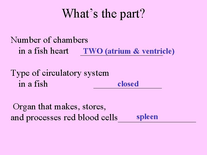 What’s the part? Number of chambers TWO (atrium & ventricle) in a fish heart