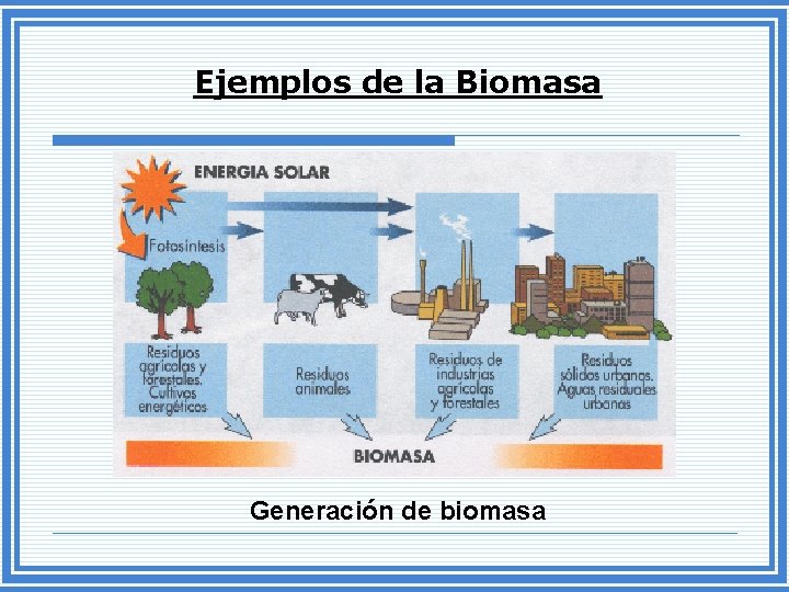 Ejemplos de la Biomasa Generación de biomasa 