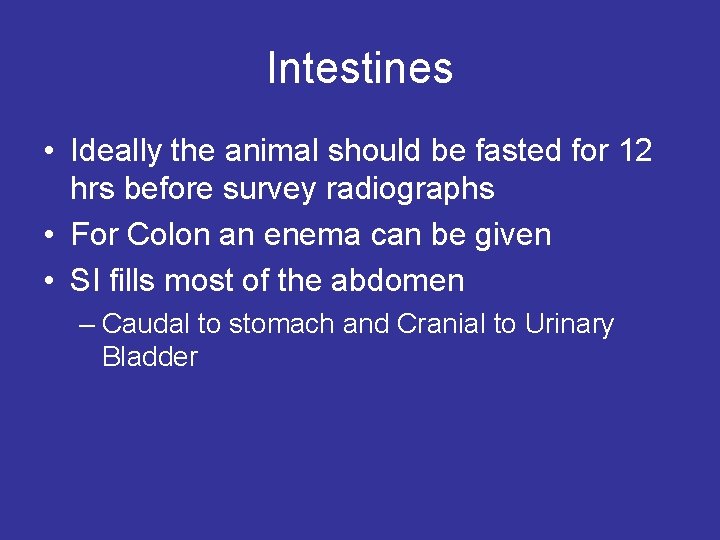 Intestines • Ideally the animal should be fasted for 12 hrs before survey radiographs